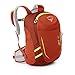 Osprey Youth Jet 12 Backpack, Strawberry Red, One Size