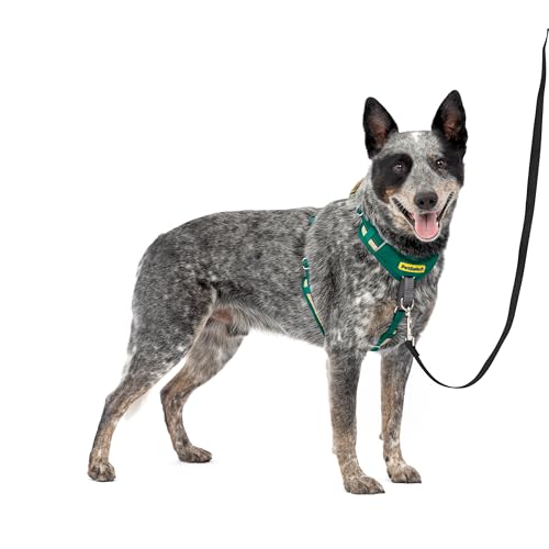 PetSafe Easy Walk Comfort No-Pull Dog Harness Full-Body Padding - Better Walks on The First Use - 5 Points of Adjustment Medium/Large, Green