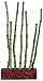 Marina Betta Kit Bamboo Shoots Ornament