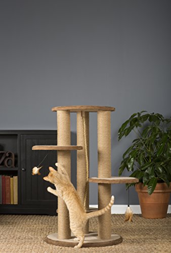 Prevue Pet Products Kitty Power Paws Multi-Platform Posts with Tassel Toys, Natural