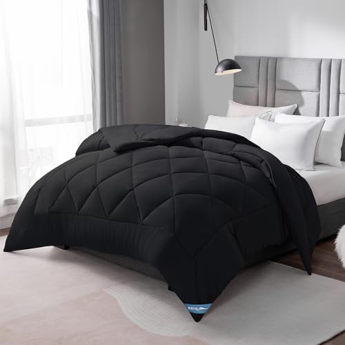 WAVVE Bettdecke 240x260 cm Ganzjahresdecke 4 Jahreszeiten, Steppdecke 300gsm Mikrofaser 260x240, Super Weiche Zudecke Schlafdecke Atmungsaktive 240 x