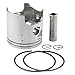 AHL Piston and Piston Rings Pin Clips Kit for Kawasaki KDX200 1989-2006(oversize+100 67mm)