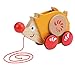 Award Winning Hape Walk-A-Long Hedgehog Toddler Wooden Pull and Balance Toy