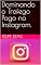 Livro Dominando o Trafego Pago no Instagram.