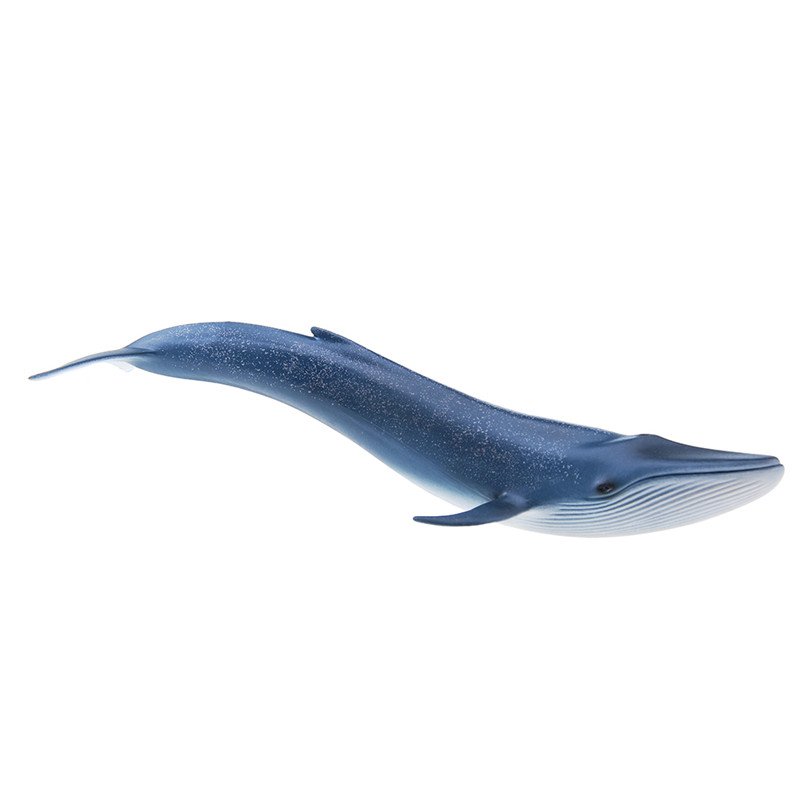 schleich blue whale