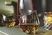 Dragon Glassware Whiskey Glasses, Luxury Barware for Wine, Bourbon, Liquor and Cocktails, Premium Packaging for Gifting, 12.5-Ounce, Set of 2