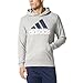 adidas Men's Essential Linear Logo Pullover Hoodie, Medium Grey Heather, Medium