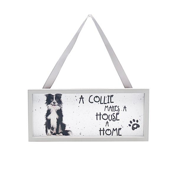 Lesser & Pavey British Designed Dog Lover Quotes Plaque | Loving Message Plaque For Home or Office | Collie Great Friendship Gifts For Birthdays - Sarah Boddy