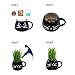 Teagas Organic Cat Grass Kit with Black and White Cat Grass Planters, Organic Soil, Natural Hairball Control and Hairball Remedy for Cats