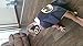 White sugar in summer Christmas Superhero Costume and Dress Up For Kids - Satin Cape and Mask (Batman)