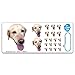 Custom Face Stickers, Photo Stickers, Stickers of Your Dog, Sampler Sheet - Pet Gift, Pet Stickers, Cat Stickers