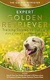 Golden Retriever: Expert Golden Retriever Training Strategies and Tips, Even If You Are a Complete Novice by The Golden Retriever Circle