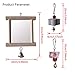 Vehomy Chicken Toys for Hens Birds Hanging Mirror Toys with Bell and 2pcs Teeth Grinding Stones for Chicken Parrotsthumb 2