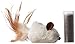 KONG Feather Mouse Catnip Toy (Colors vary)