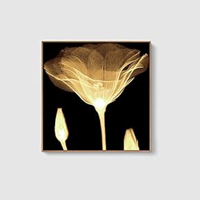 Framed Canvas Home Artwork Decoration Beautiful Flower Canvas Wall Art for Living Room, Bedroom - 16x16 inches