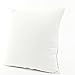 Hupplle Canvas Cotton Embroidery Throw Covers Christmas Snow Square Throw Pillow Covers White by Beauty House