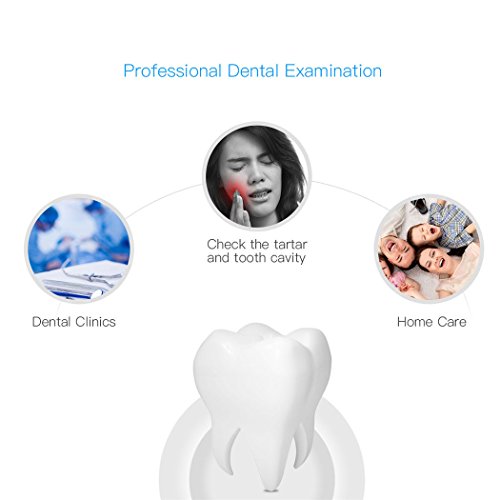 4 Dental+Mirror+inkint+Inspection+Inspecting