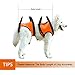 Lifeunion Dog Foreleg and Hind Rear Legs Sling Dog Lift Support Rehabilitation Harness for Elderly, Injured, Disable Pets, Help Stand Up, Up/Down Stairs, Get into Car (XL, Green)
