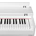 LAGRIMA Digital Piano, 88 Key Electric Keyboard Piano for Beginner W/Music Stand+Power Adapter+3-Pedal Board+Instruction Book+Headphone Jack(White Only Piano)