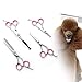 Pet Grooming Scissors Kit - Cat Dog Grooming Scissors - 5 PCS( For Trimming Body, Face, Ear, Nose, Paw) , Sharp Shears with Safety Rounded Tips for Small, Medium & Large Pets ( Include Grooming Comb )
