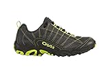 Oboz Sundog Hiking Shoe - Men's