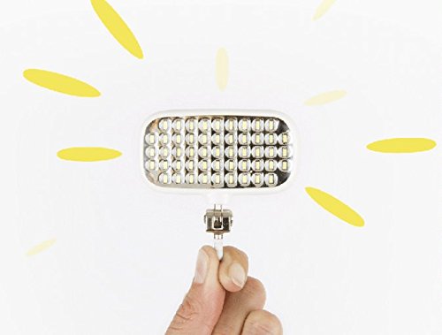 The Pocket Spotlight