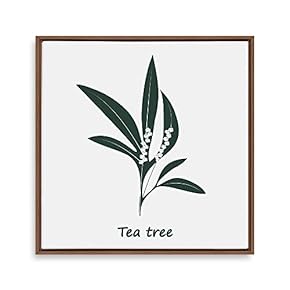 Framed Canvas Wall Art for Living Room, Bedroom Nordic Style Plants Theme Canvas Prints for Home Decoration Ready to Hang - 16x16 inches