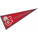 Cal State Channel Islands Pennant
