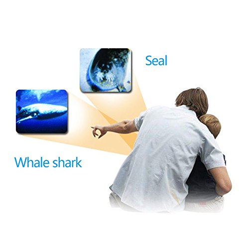 3 Pack Projector Flashlight Night Photo Picture Light Bedtime Study Learning Fun Toys for Baby Kids 3 Age