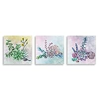 3Piece Canvas Wall Art - Succulent Plant - Canvas Prints Home Artwork Decoration for Living Room,Bedroom - 12