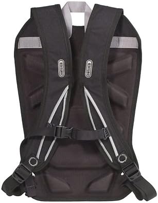 ortlieb pannier backpack converter