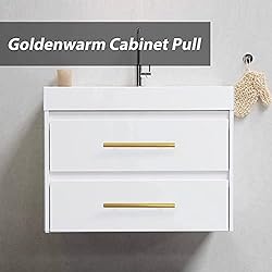 goldenwarm 10 Pack Brushed Gold Kitchen Cabinet