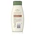 Aveeno Daily Moisturizing Yogurt Body Wash with Soothing Prebiotic Oat & Vanilla Scent, Gentle Daily Body Cleanser Nourishes Dry Skin With Moisture, Paraben, Soap & Dye-Free, 18 fl. oz (Pack of 3)