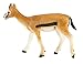 Safari Ltd Wild Safari Wildlife - Thomson's Gazelle - Realistic Hand Painted Toy Figurine Model - Quality Construction From Safe and BPA Free Materials - For Ages 3 and Up