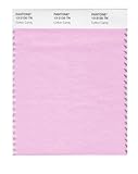 Pantone 13-2120 Nylon Brights Color Swatch Card