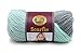 Lion Brand Yarn (1 Skein) Scarfie Bulky Yarn, Mint/Silver