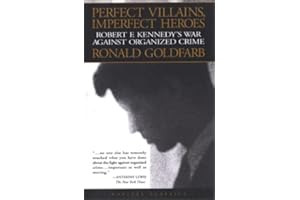 Perfect Villains Imperfect Heroes