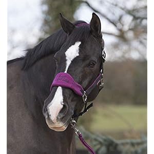 LeMieux Vogue Fleece Headcollar And Leadrope, Unisex Adulto LeMieux LeMieux Vogue Fleece Headcollar And Leadrope, Unisex Adulto