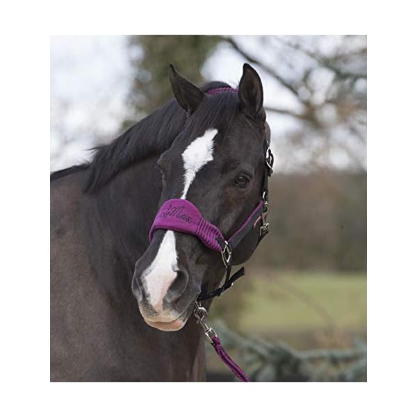 LeMieux Vogue Fleece Headcollar And Leadrope, Unisex Adulto LeMieux LeMieux Vogue Fleece Headcollar And Leadrope, Unisex Adulto