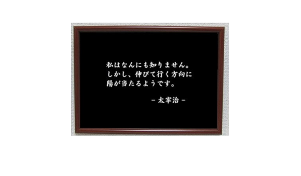 Amazon Com 太宰治 雑貨 名言 格言 啓蒙 座右の銘 偉人 雑貨 Home Kitchen