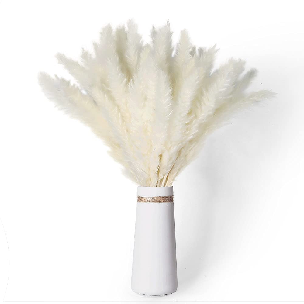 KAOHONG Natural White Pampas Grass 40pcs 45CM Fluffy and Swinging Dried Pampas Grass DIY Boho Plant for Wedding Flower Arrangements Home Décor, 225/5