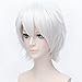 Flovex Short Straight Anime Cosplay Wigs Natural Sexy Costume Party Daily Hair (Silver White)