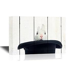 Mini Rex Rabbit Appearing from a Top Hat