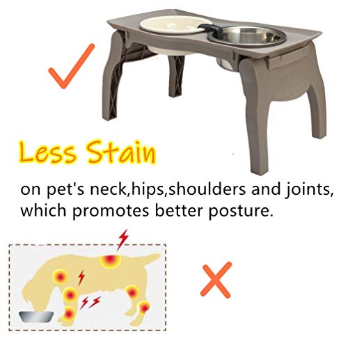 Elevated Pet Bowl Stand for Medium Dogs with Slow Feeder Bowl Premium