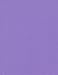 Clear Path Paper - Grape Purple Cardstock - 8.5 x 11 inch - 65Lb Cover - 50 Sheets