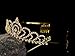 Rivertree Gold Costume princess crown With Comb Pin For Girls & Women Crystal Bridal wedding Tiara
