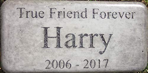 Personalized Engraved Pet Memorial 'True Friend Forever' 8" X 4" (Brick Size)