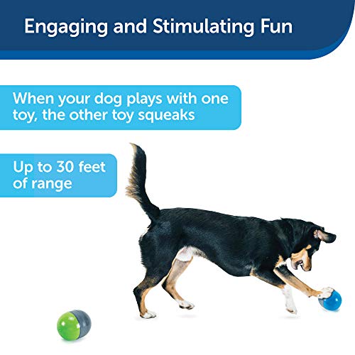 hyper pet doggie tail dog toy