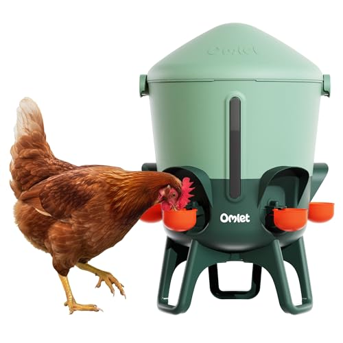 Omlet Isolierter Wasserspender für Hühner 11 Liter | Automatische Geflügeltränke | Sauberes Trinkwasser | BPA-frei | Anti-Sitzkuppel | Schalen und Tri