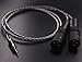 P2.5-M2 HIFI Hi End 2.5mm TRRS Balanced Male to 2 XLR Male Cable, for Astell&Kern AK100II, AK120II, AK240, AK380, AK320, DP-X1A, FIIO X5III, XDP-300R, iBasso DX200, KANN etc. (3.2ft (1M))